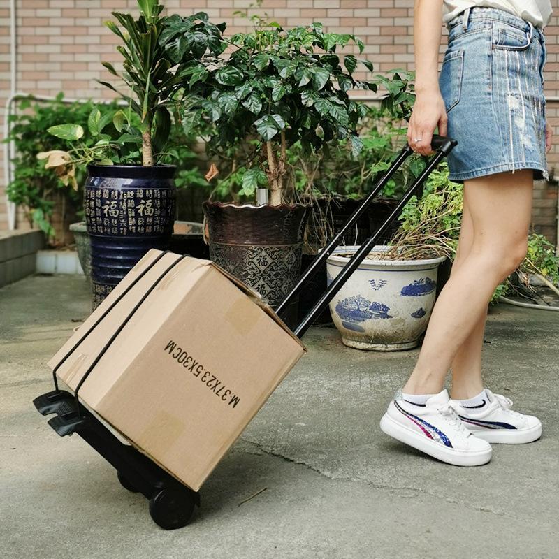 Chariot pliant compact, chario - Pull Cart Fold avis et prix