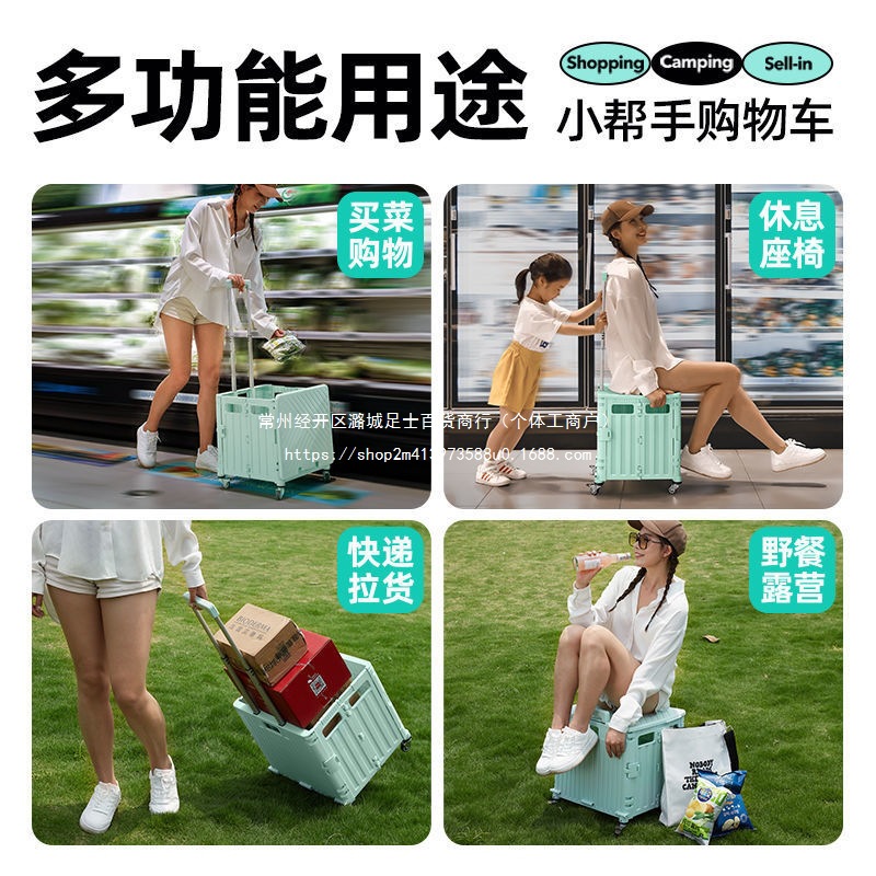 Chariot de courses, petit char - Pull Cart Fold avis et prix